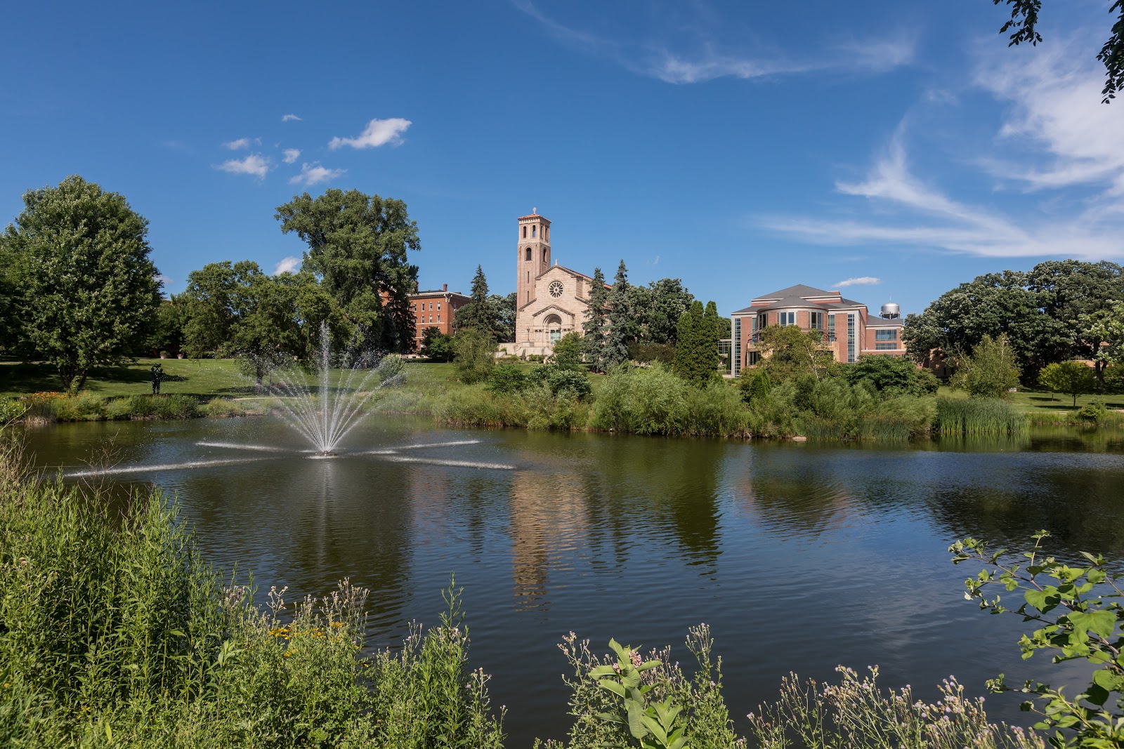 St Catherine University