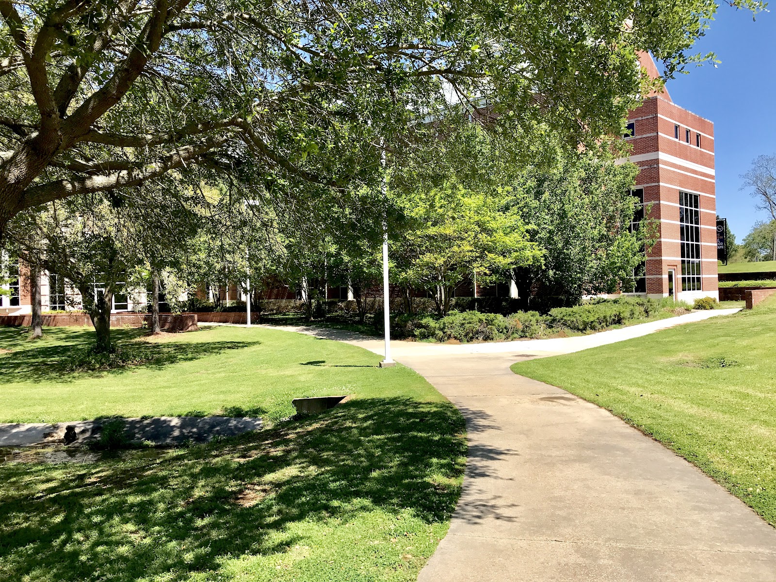 Alcorn State University