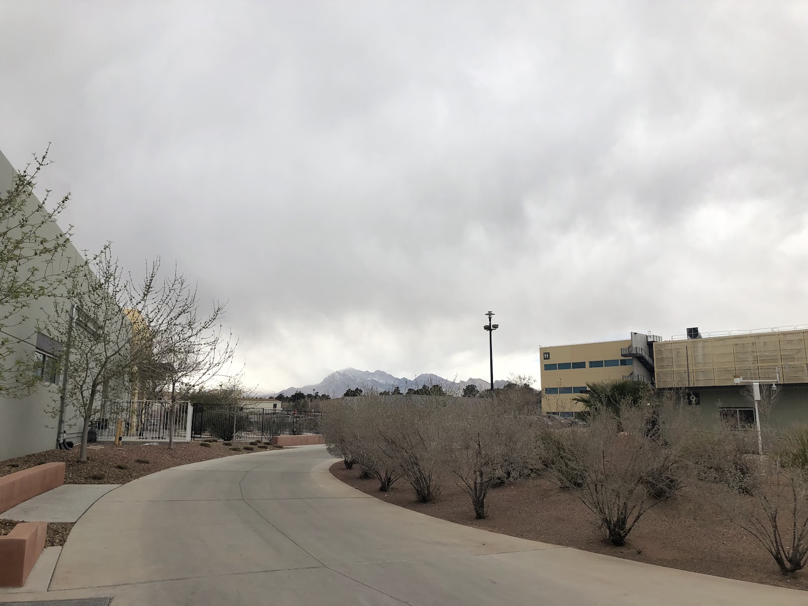 College of Southern Nevada
