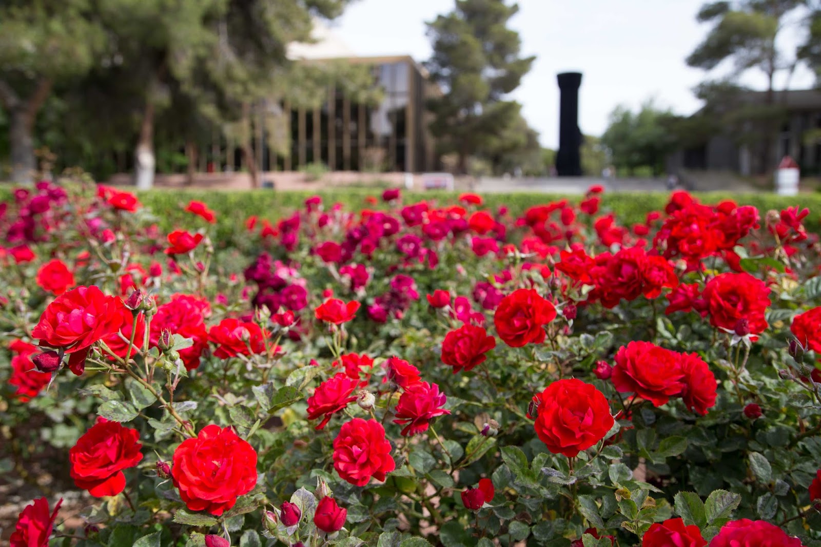 University of Nevada-Las Vegas