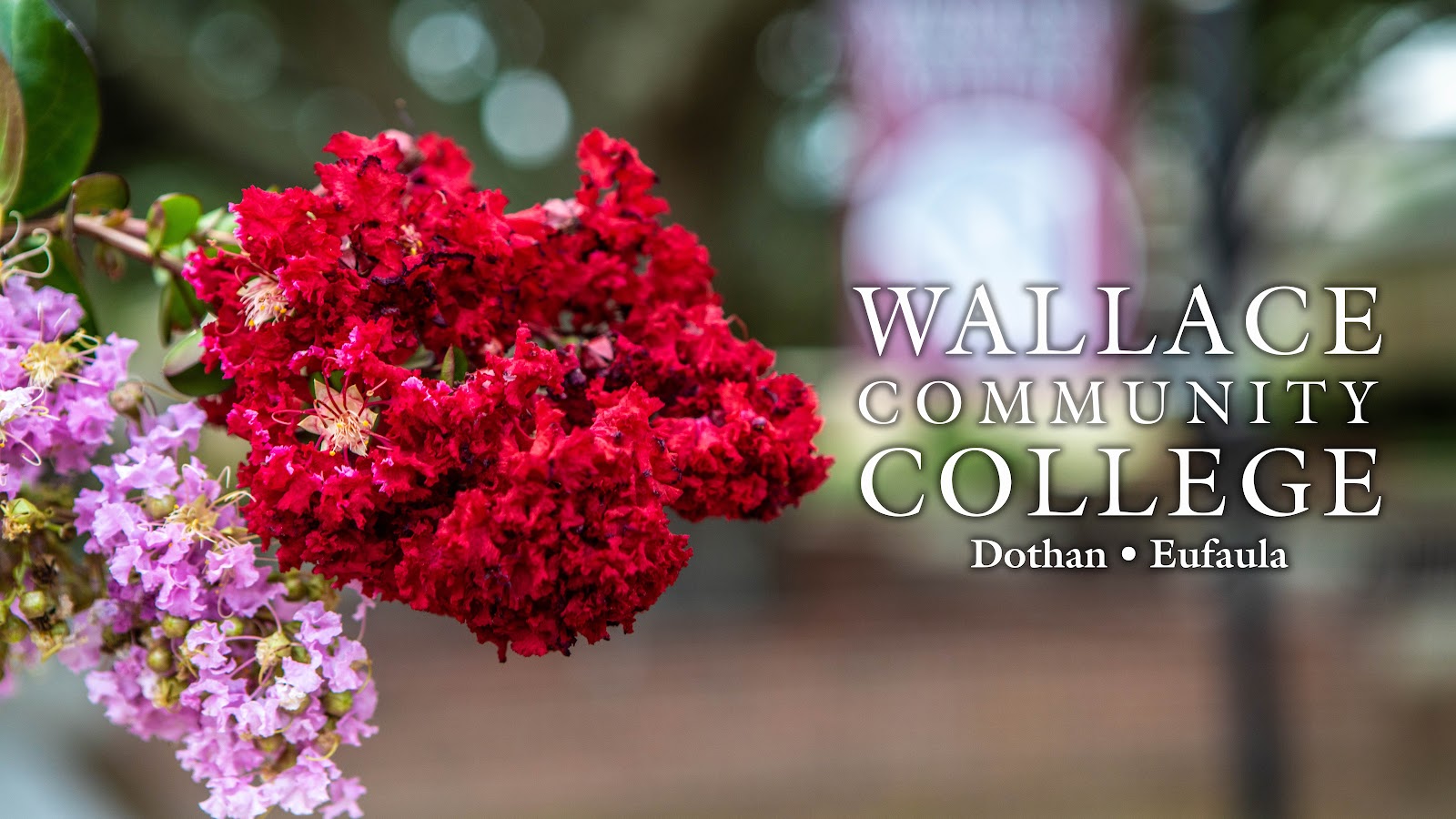 George C Wallace Community College-Dothan