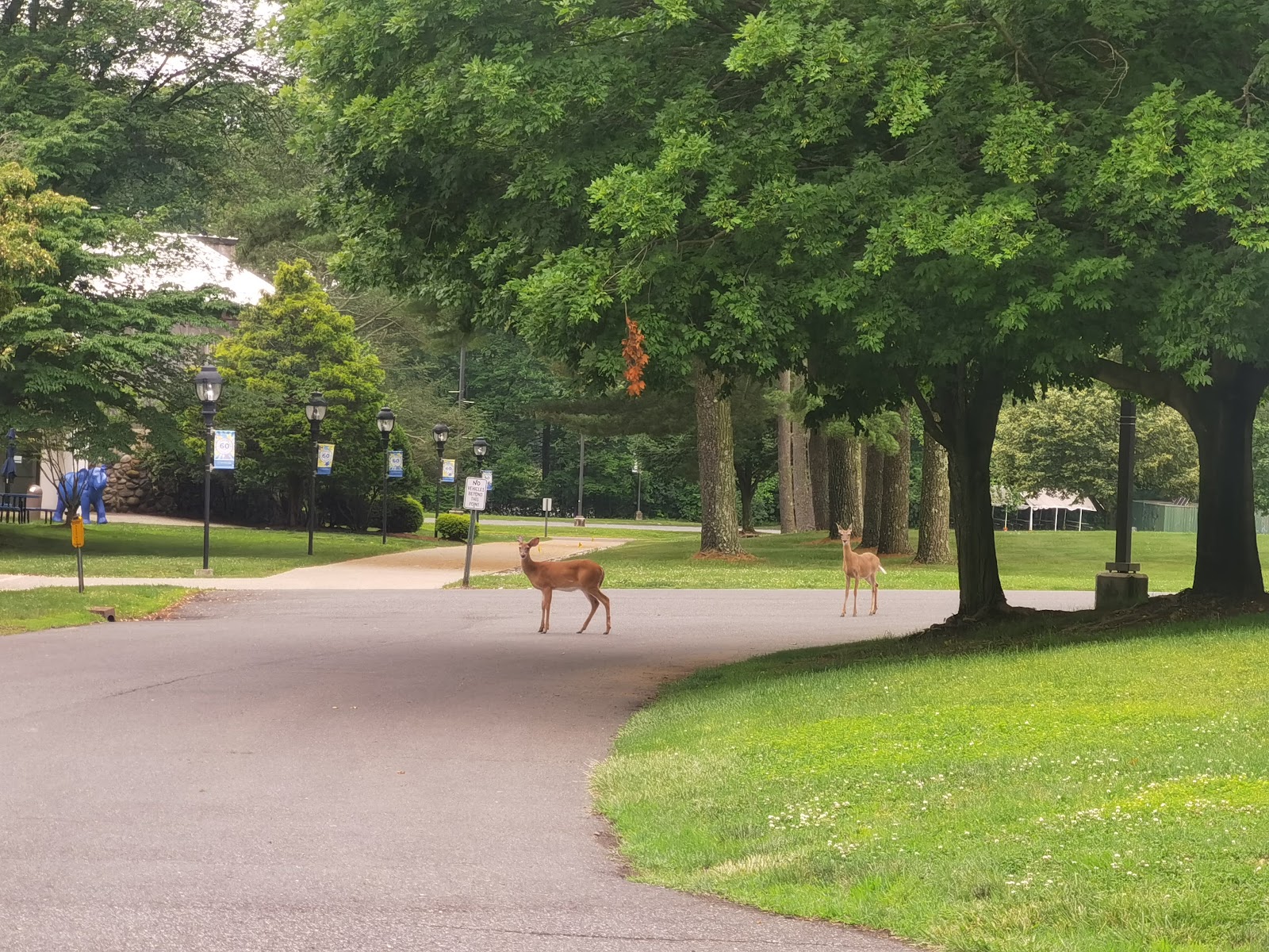 Brookdale Community College
