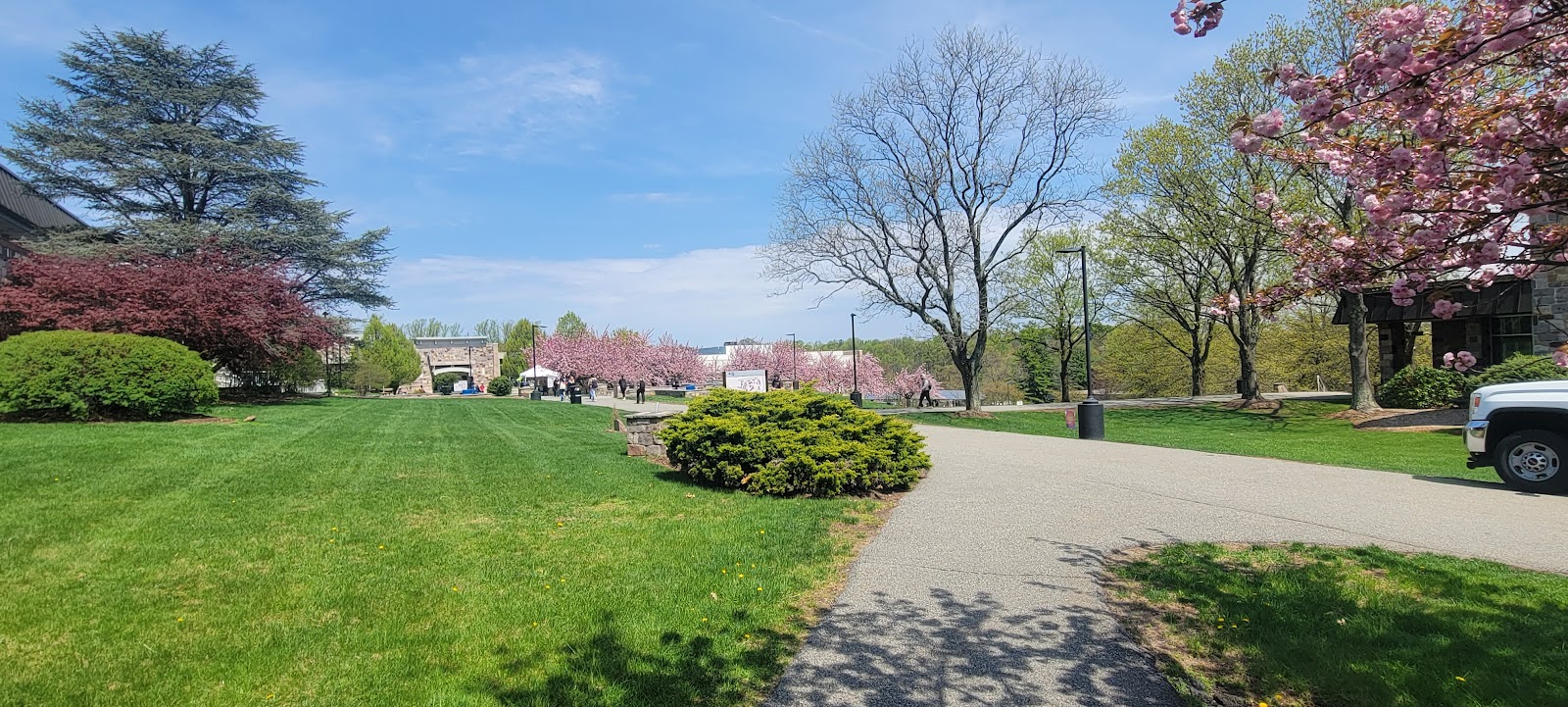 County College of Morris