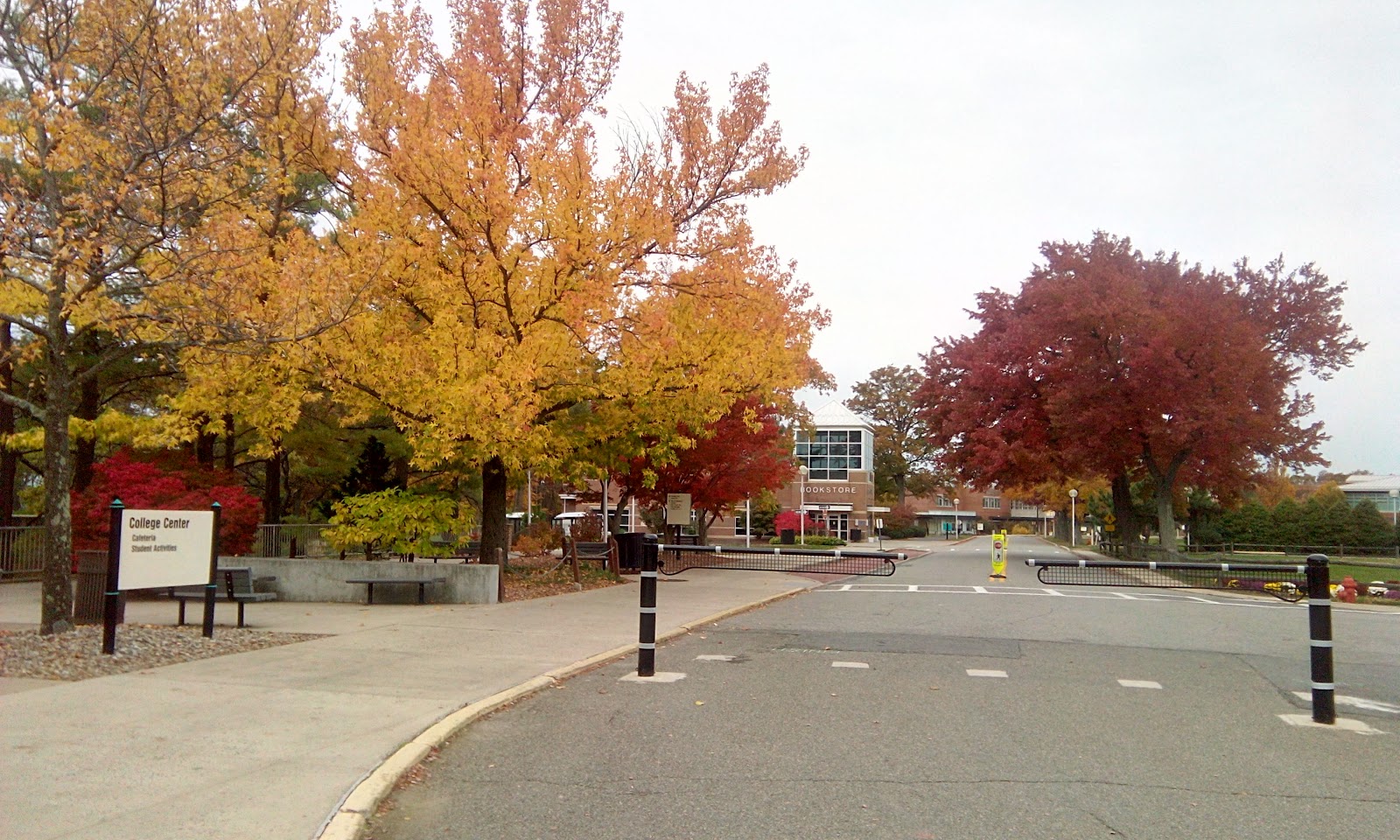 Middlesex College