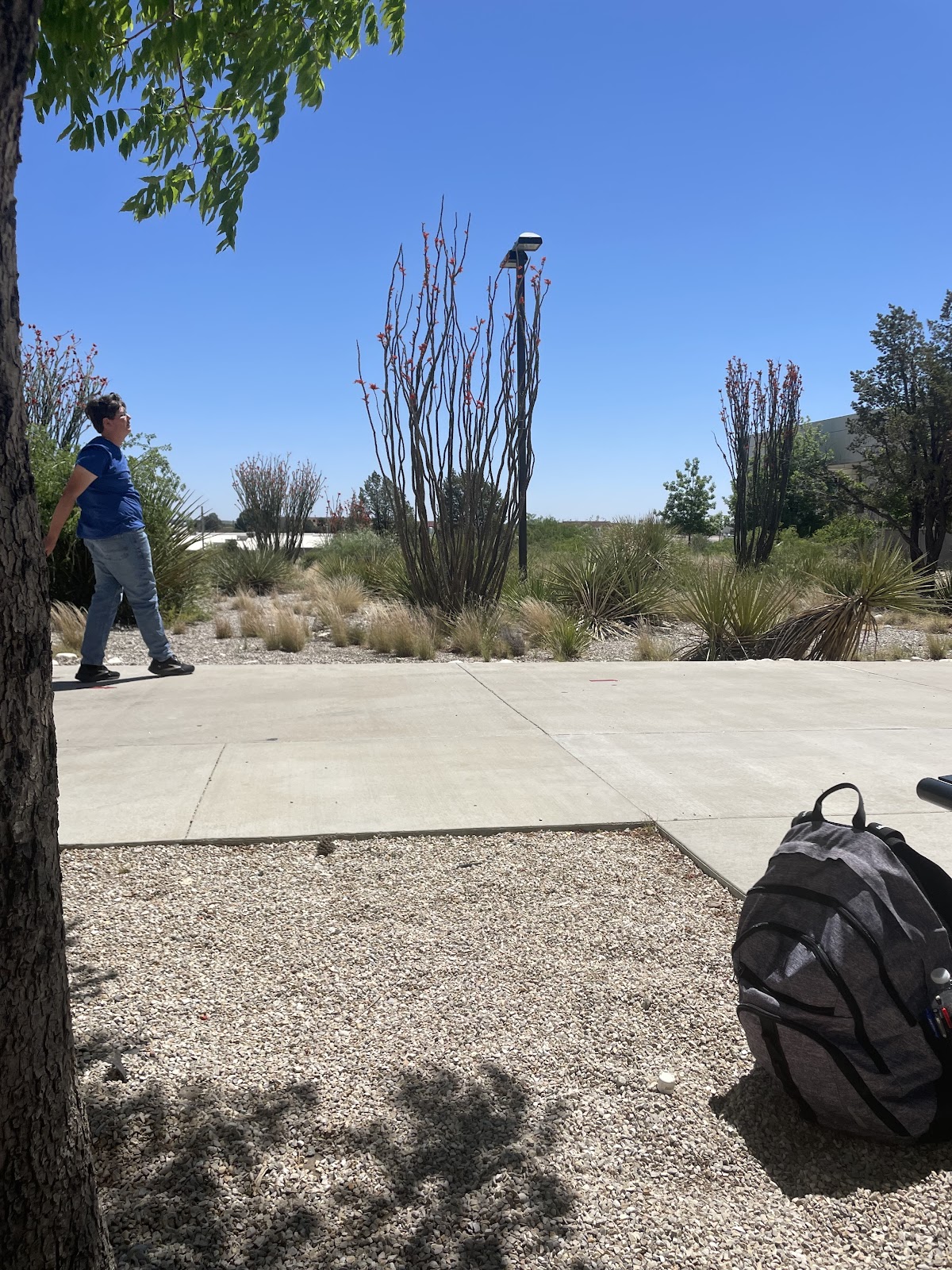 Southeast New Mexico College