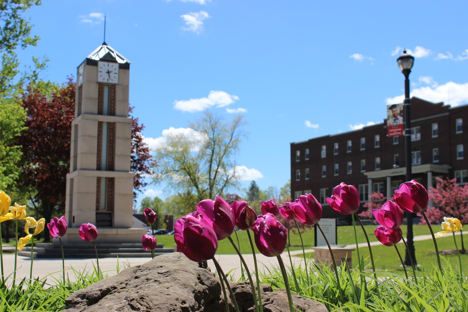 Roberts Wesleyan University