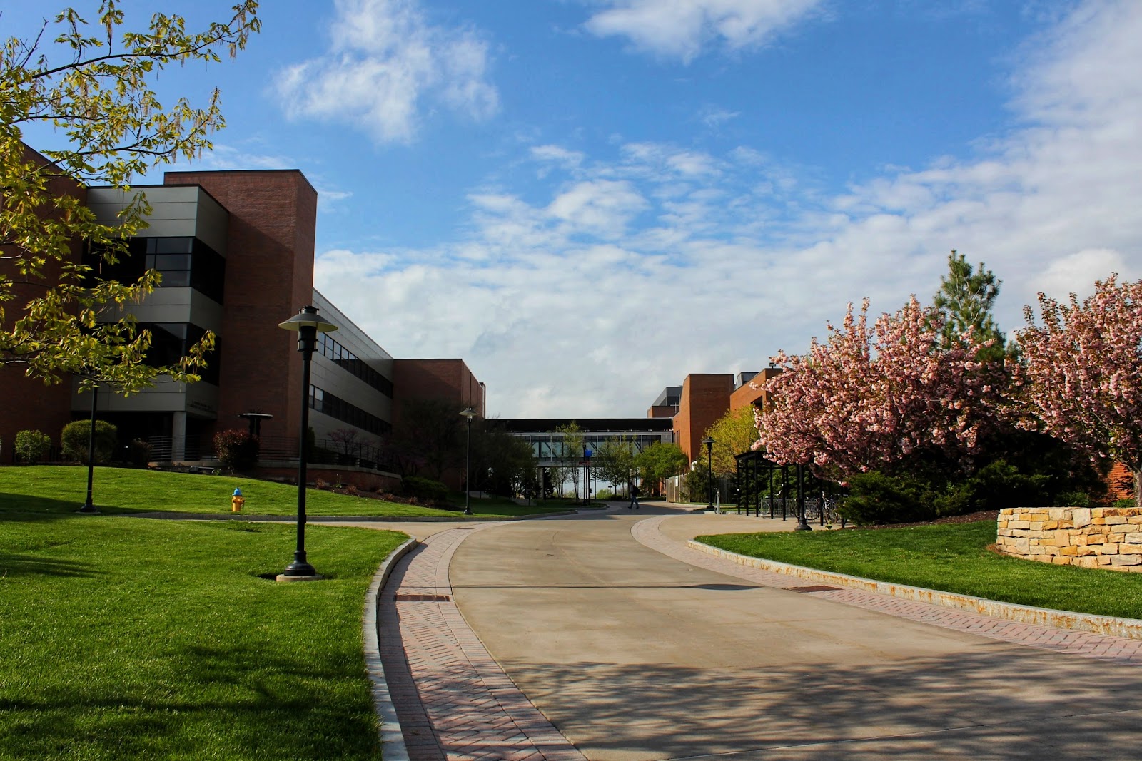 Rochester Institute of Technology