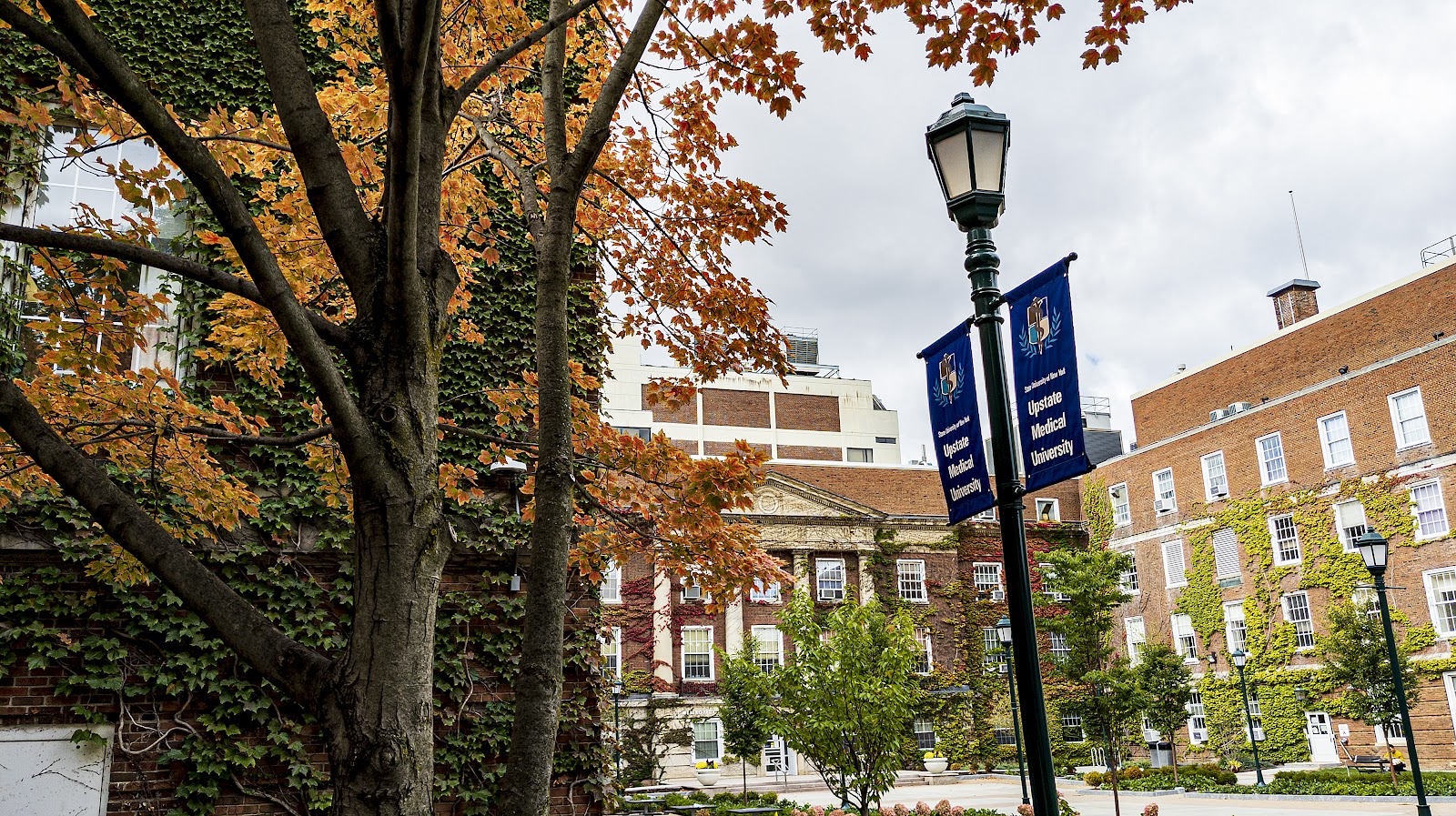 Upstate Medical University