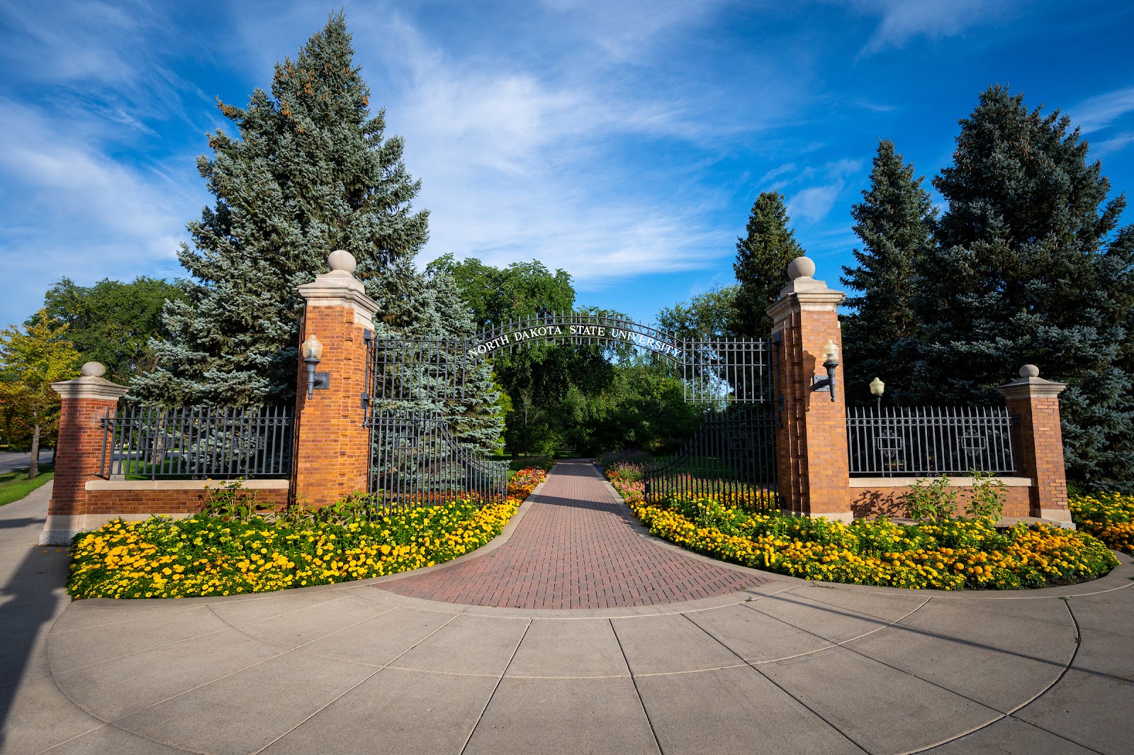 North Dakota State University-Main Campus