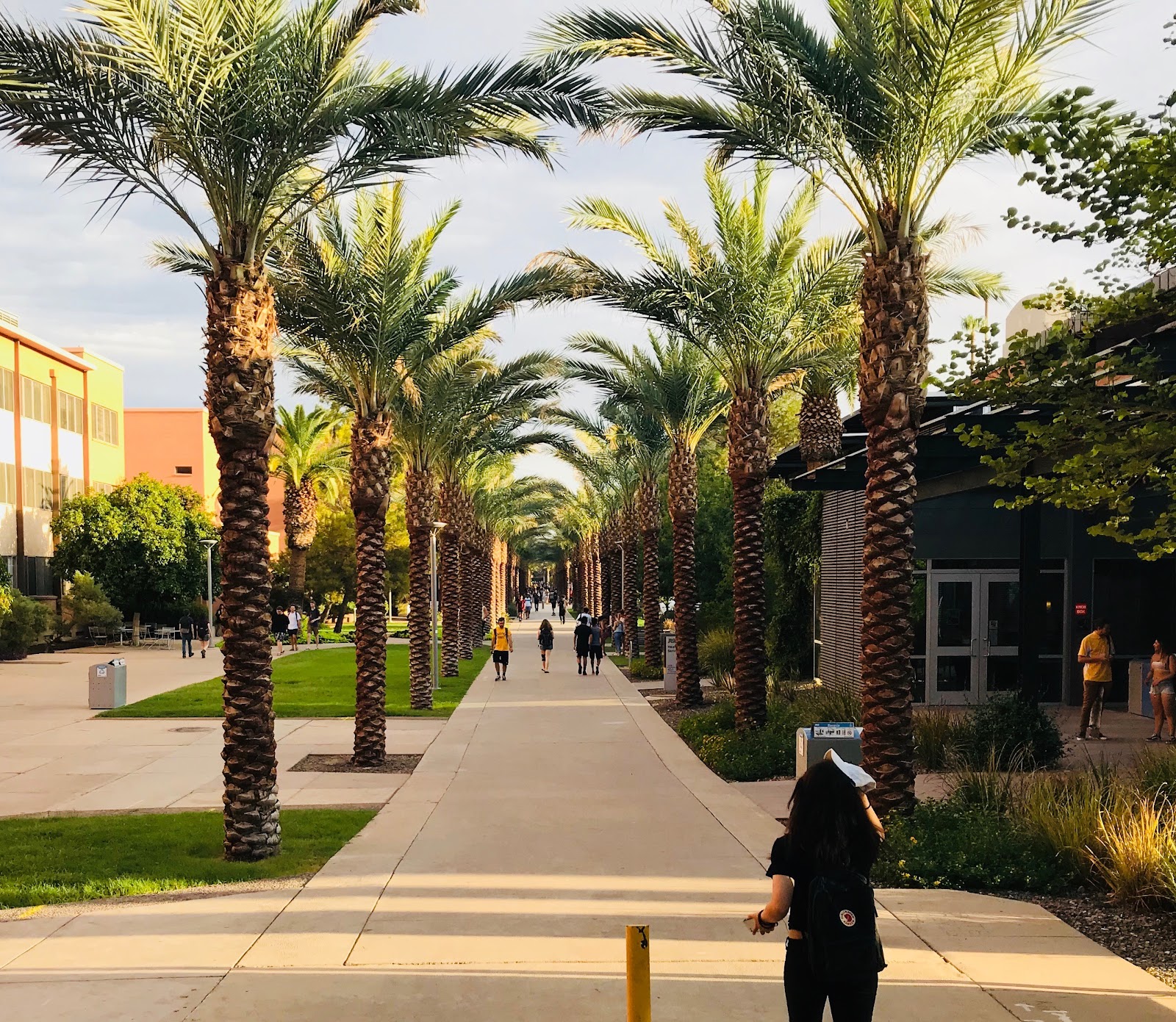 Arizona State University Campus Immersion