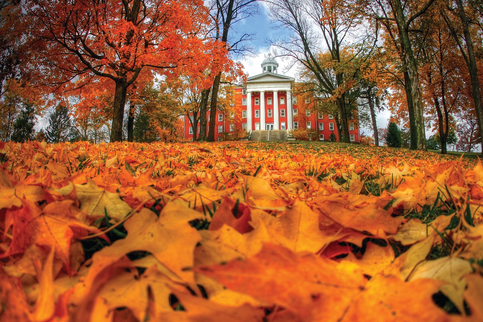 Wittenberg University