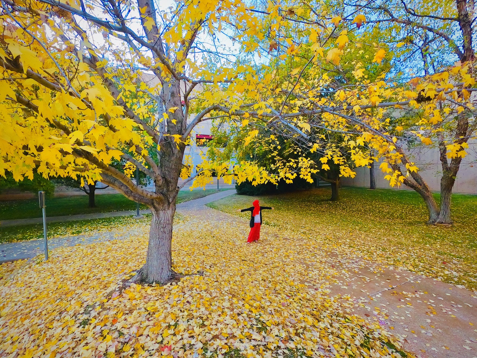 University of Oklahoma-Health Sciences Center