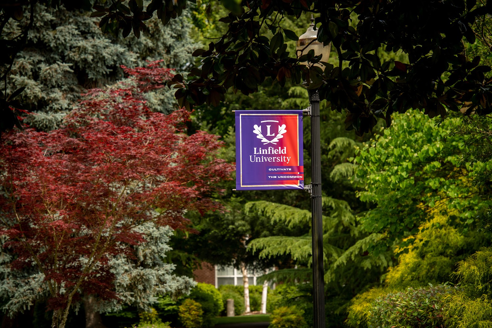 Linfield University