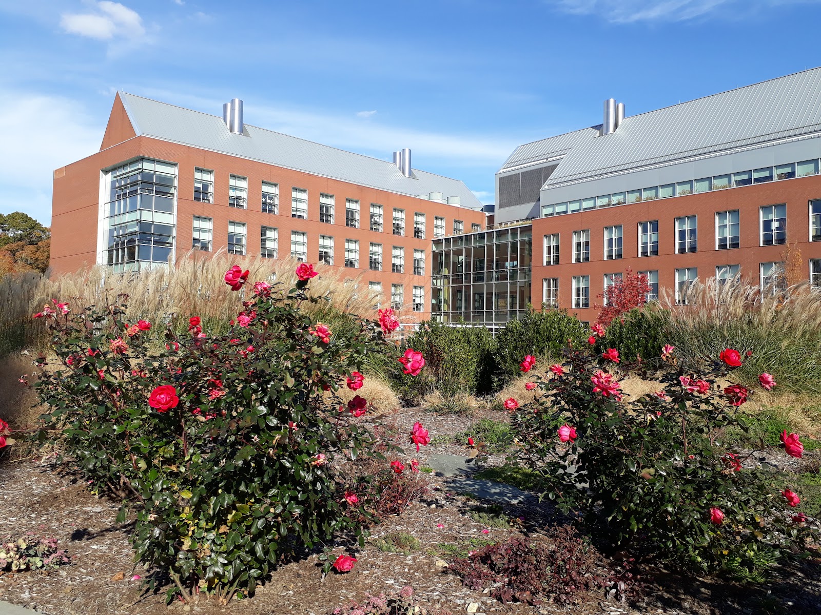 University of Rhode Island