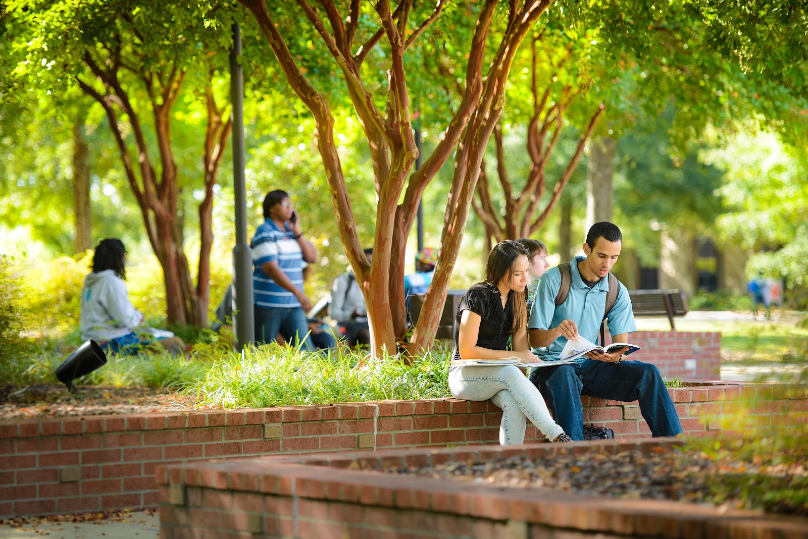 Midlands Technical College