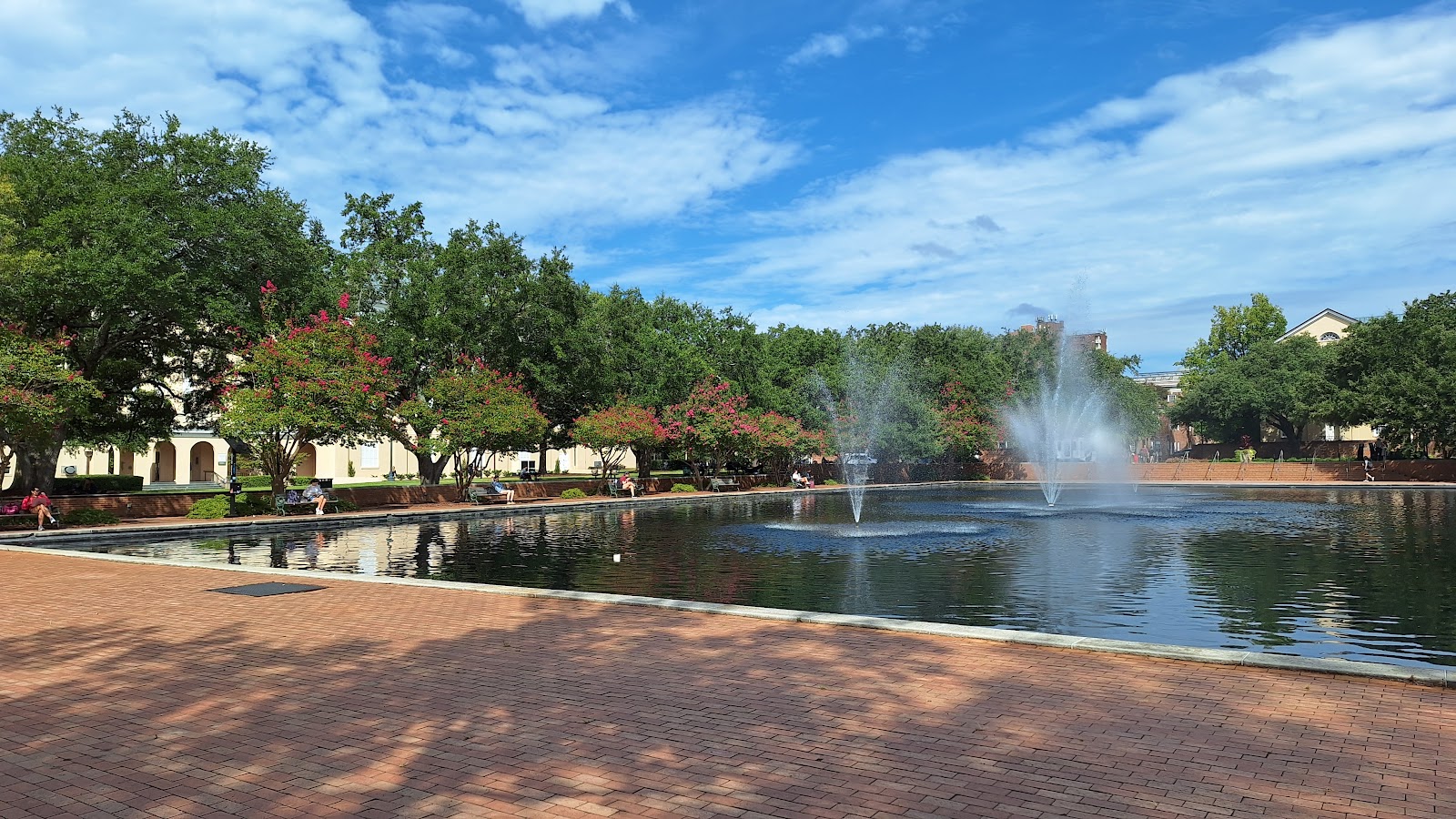 University of South Carolina-Columbia