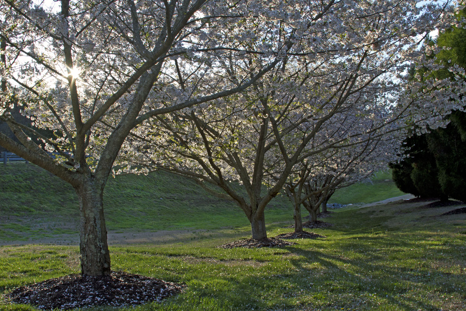 Tri-County Technical College