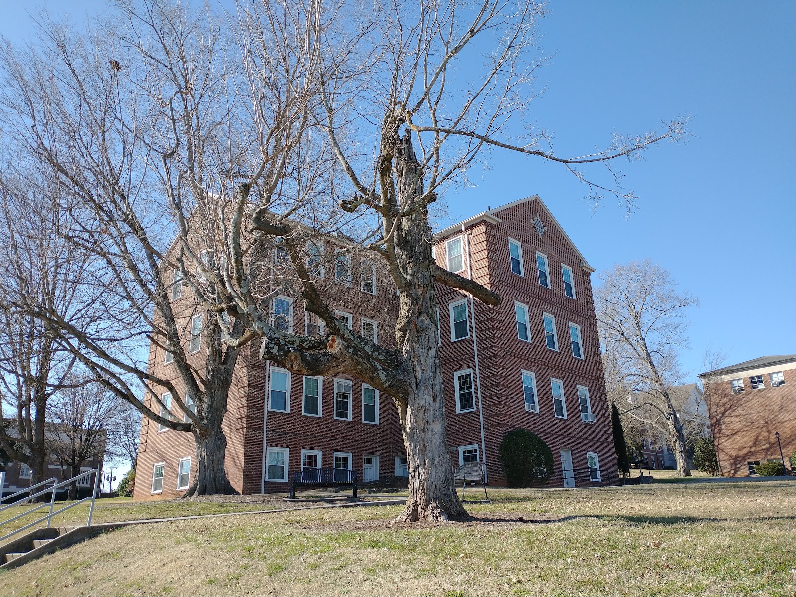 Carson-Newman University