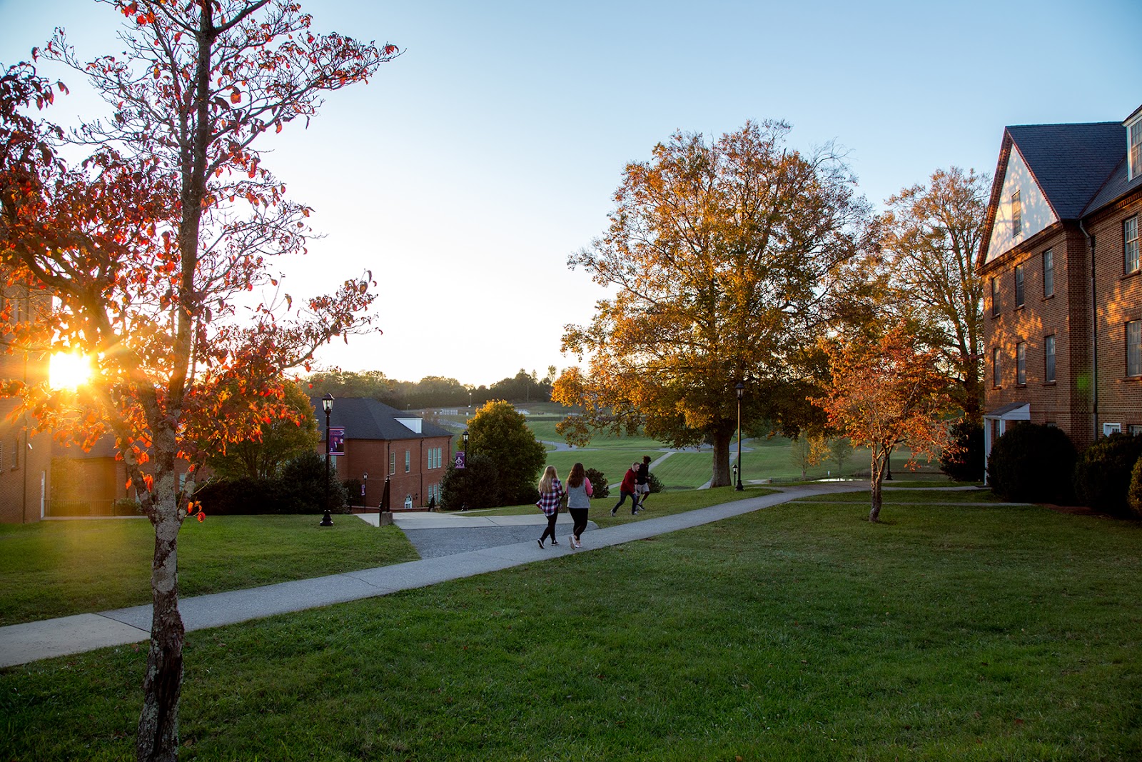King University