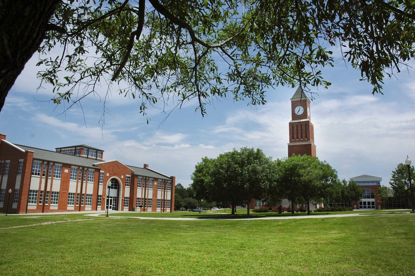 Navarro College