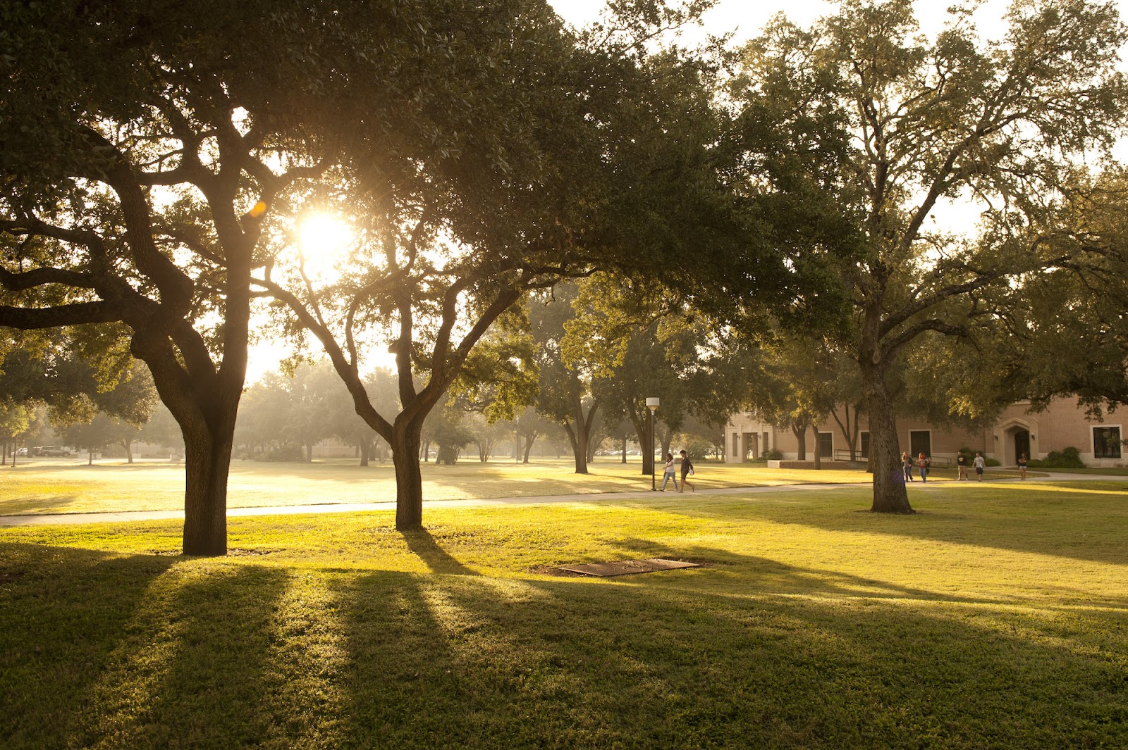 Texas Lutheran University