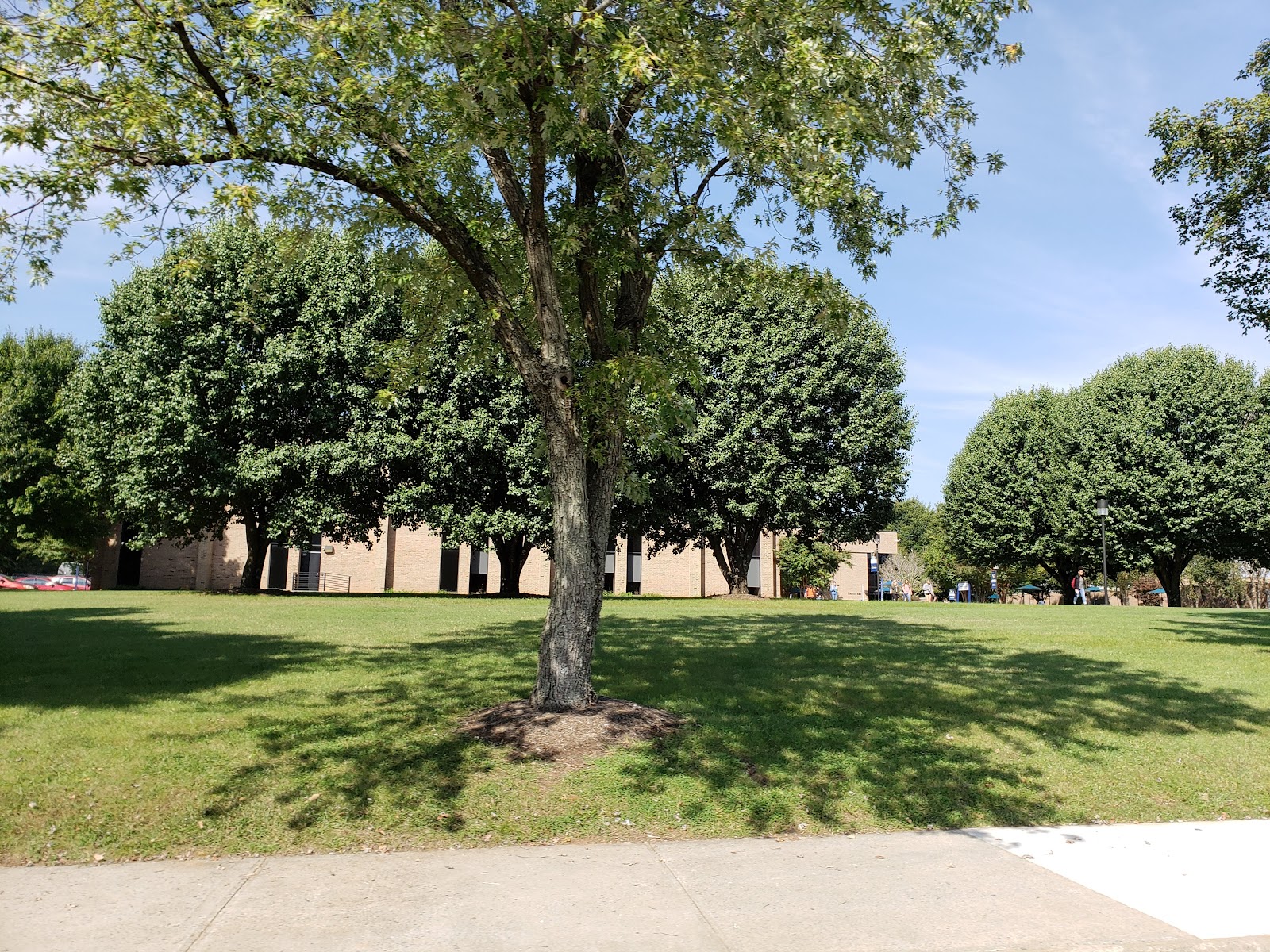 Central Virginia Community College
