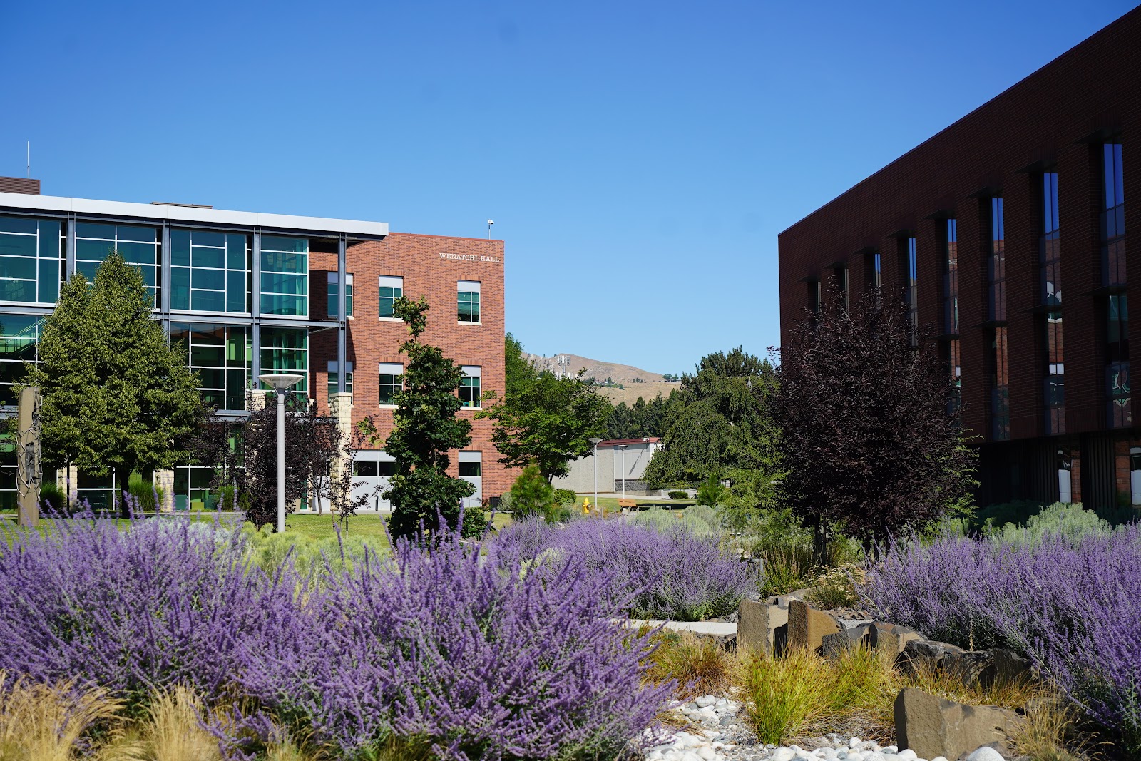 Wenatchee Valley College