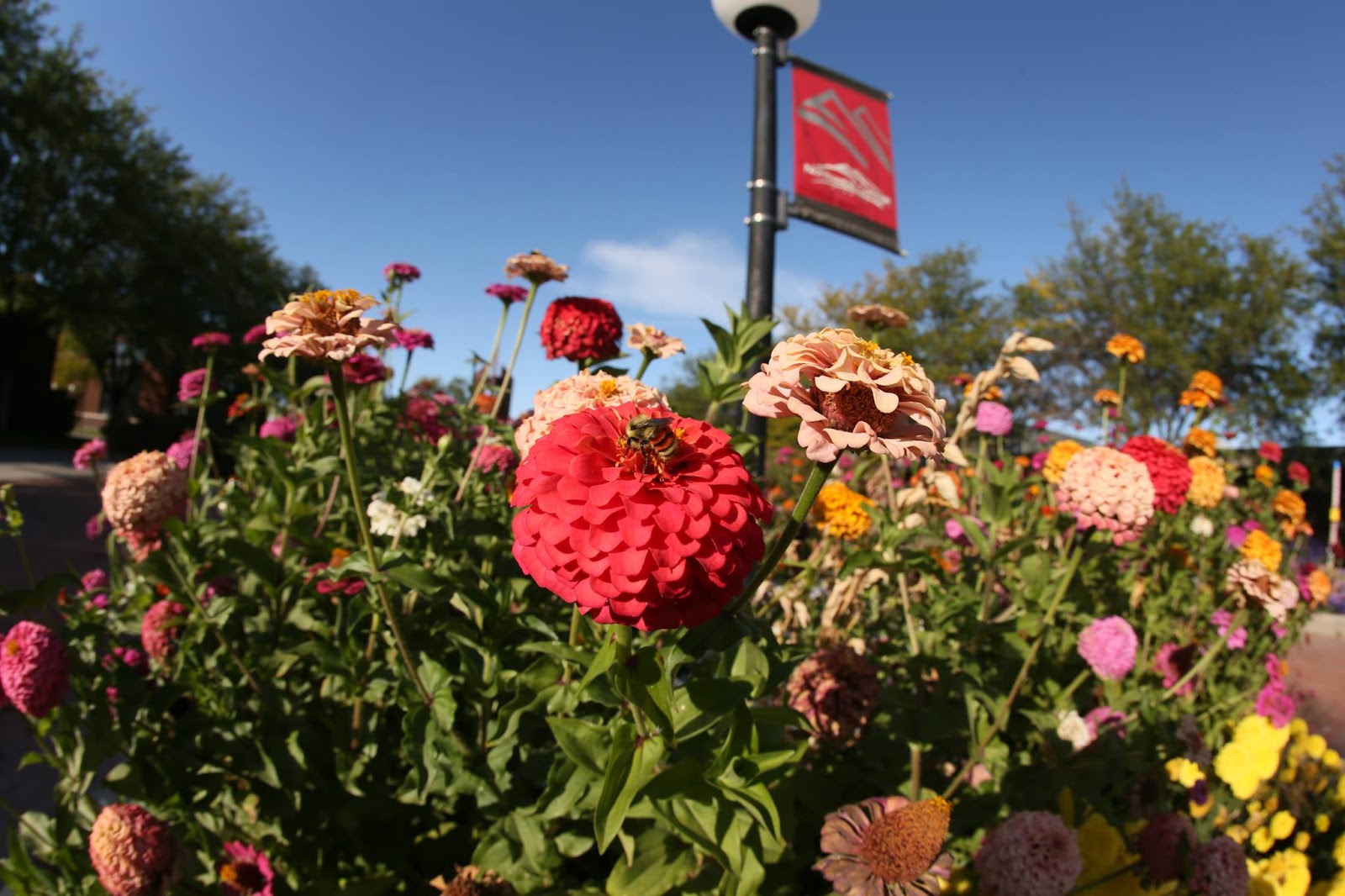 Northwest College