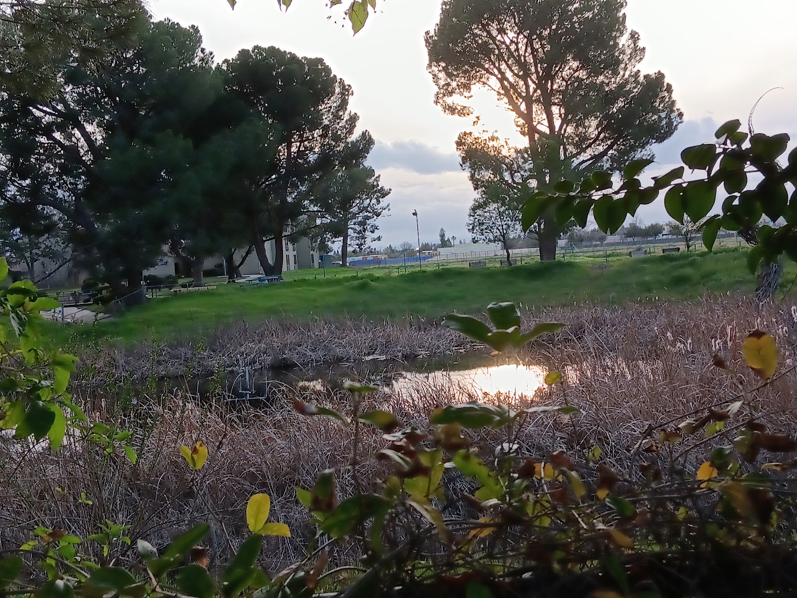 California State University-Bakersfield