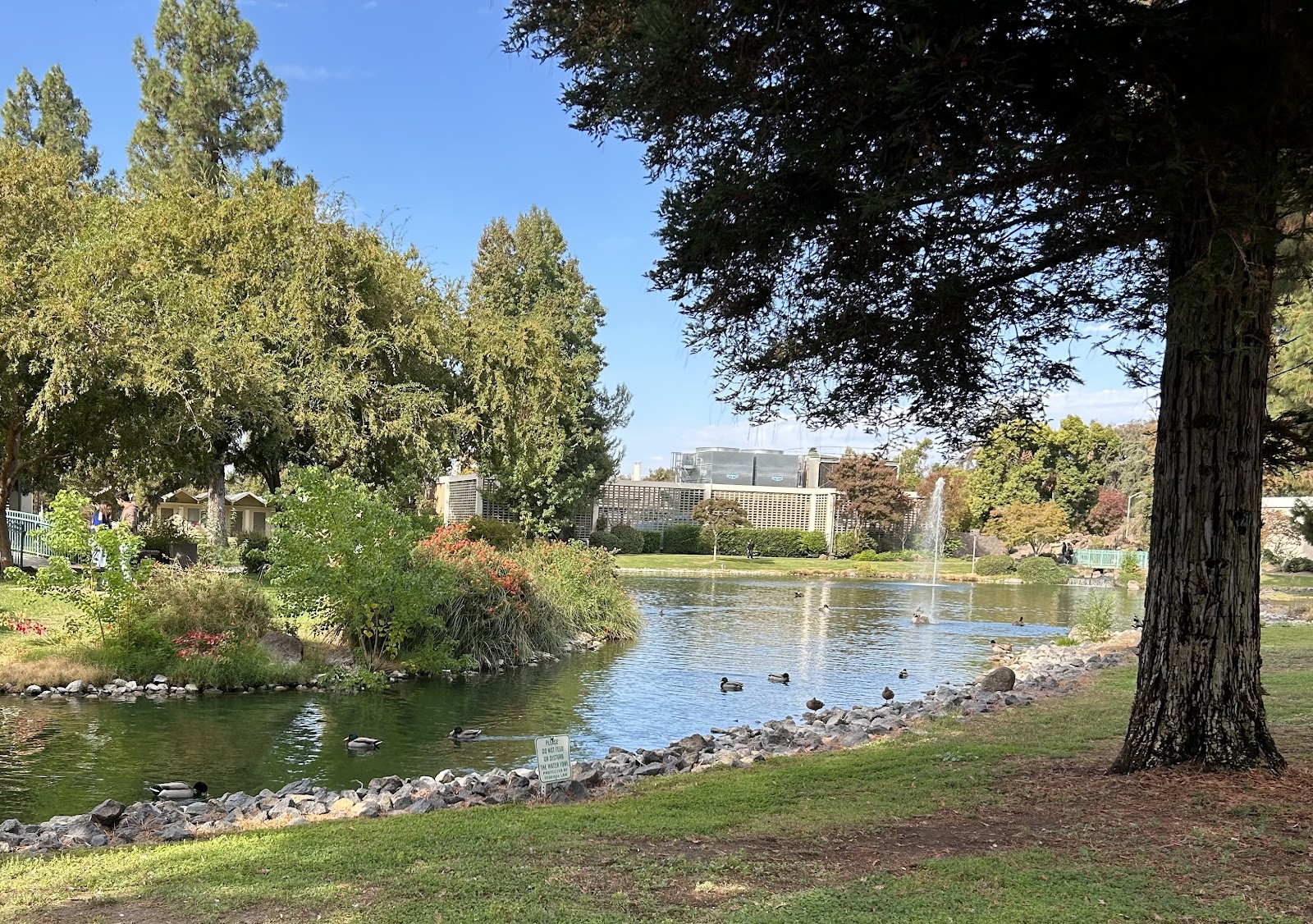 California State University-Stanislaus