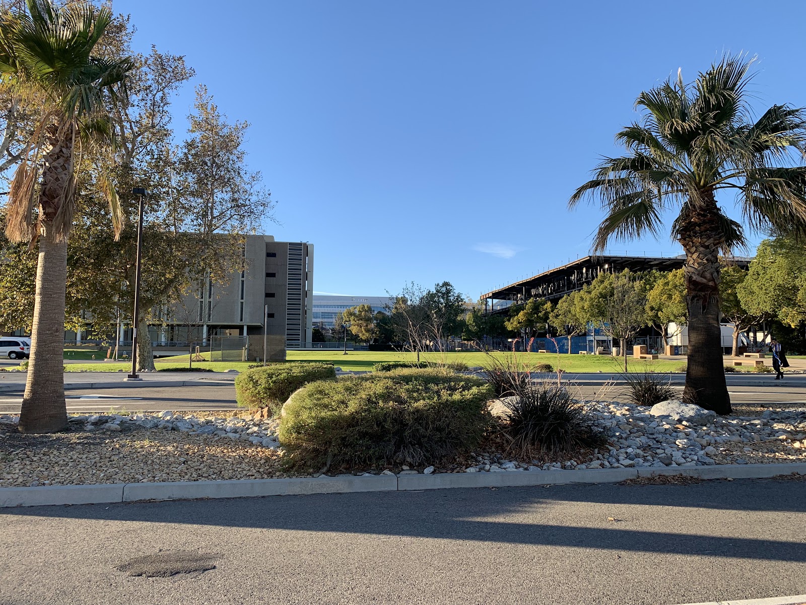 California State University-San Bernardino