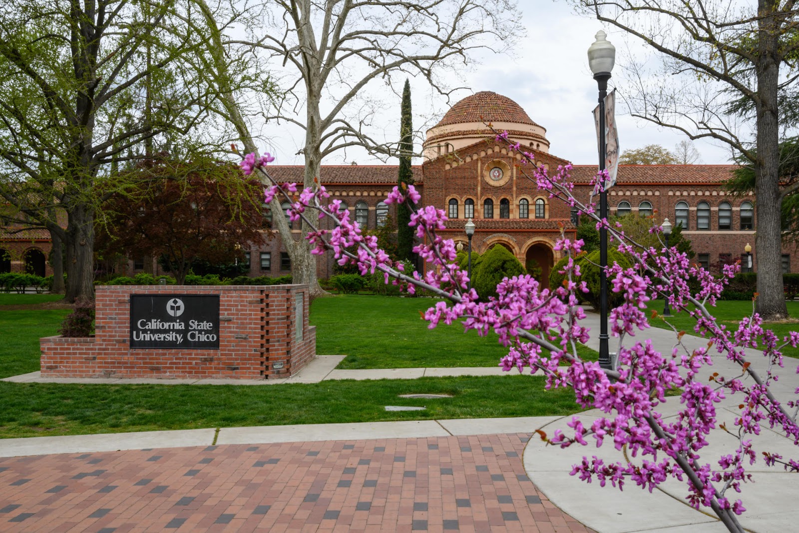 California State University-Chico