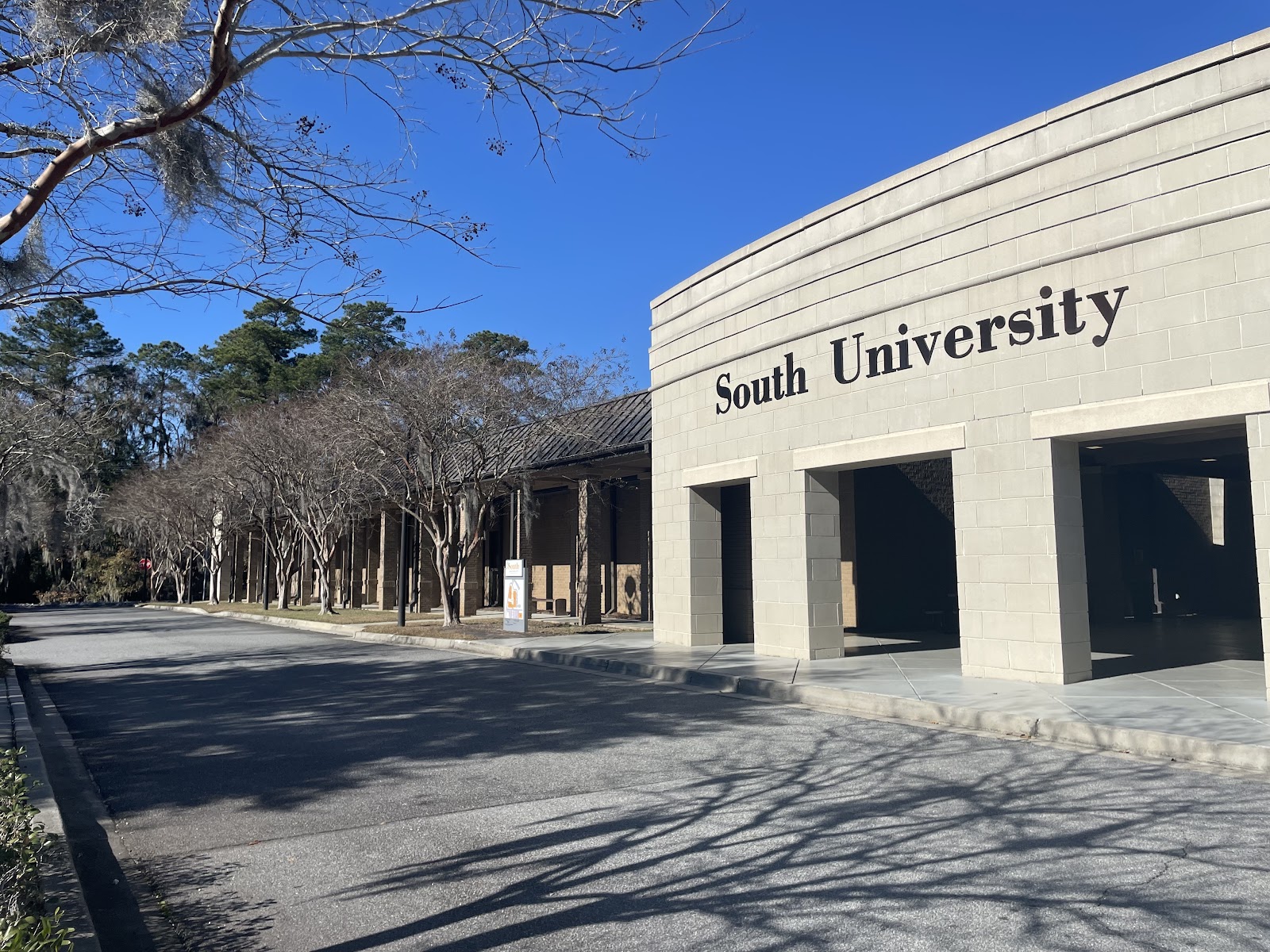 South University-Savannah Online