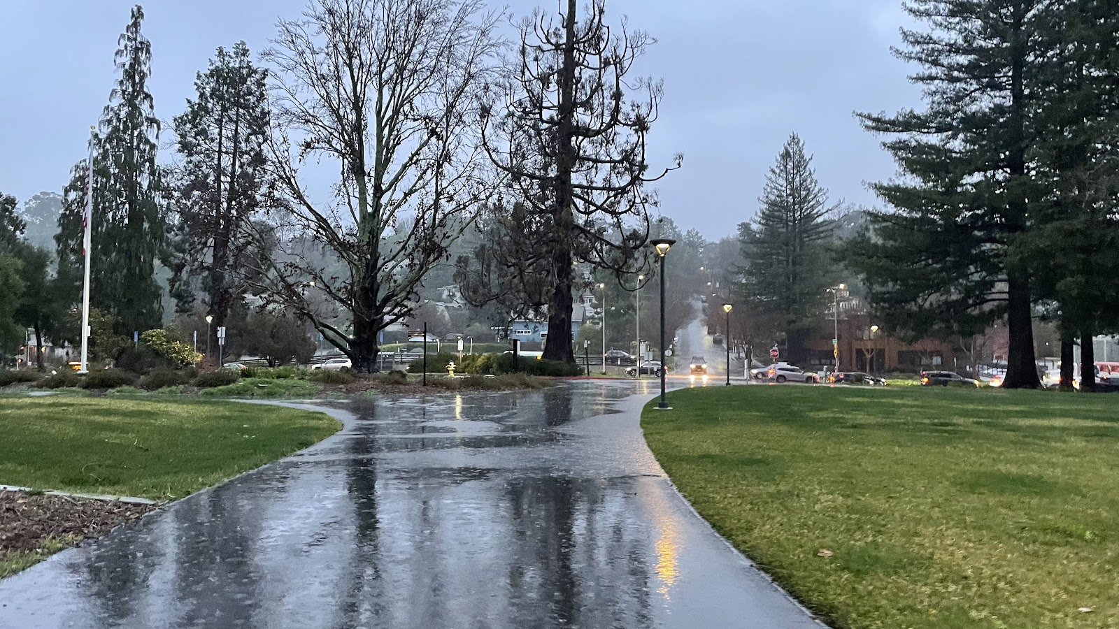 College of Marin