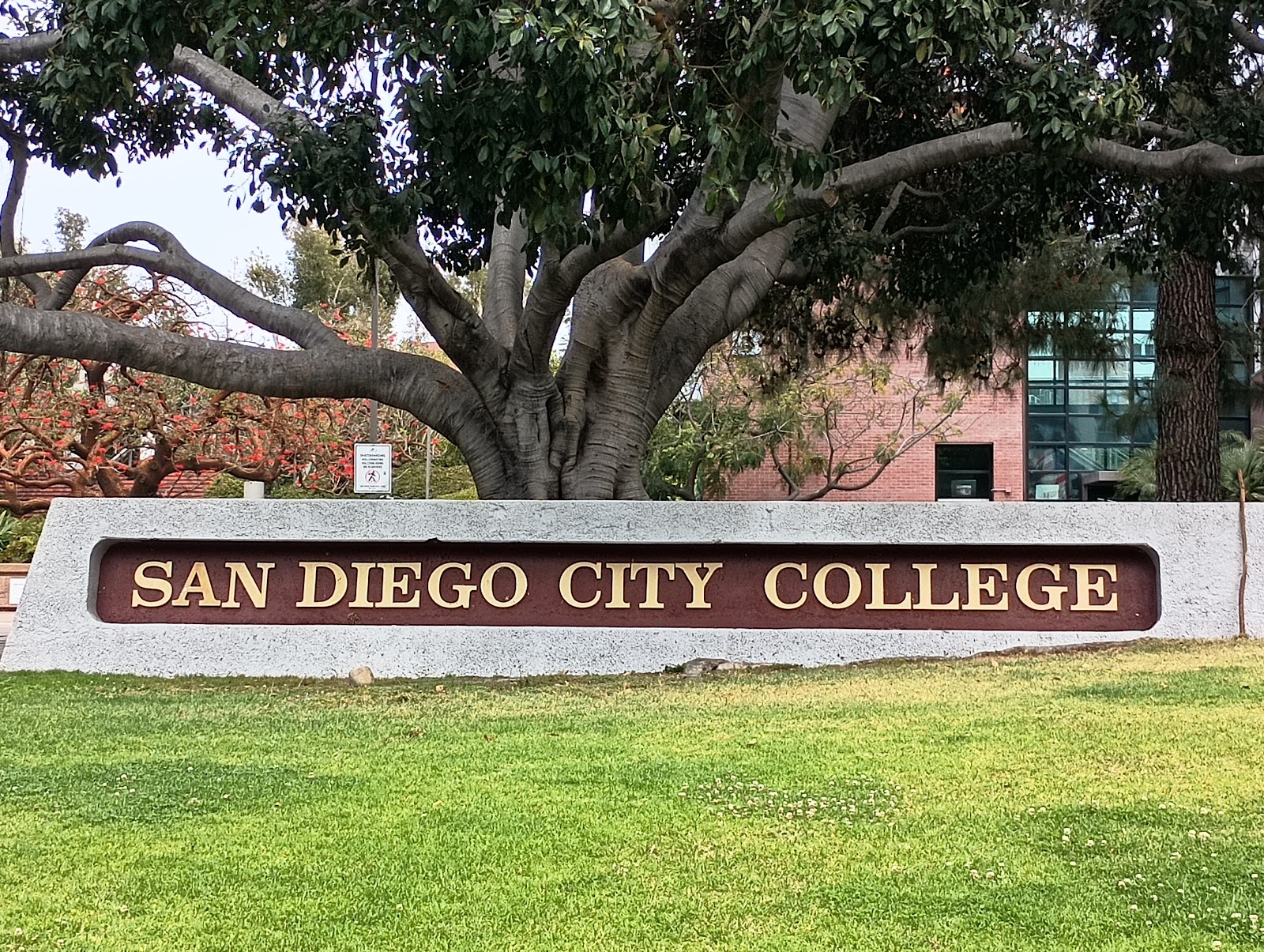 San Diego City College