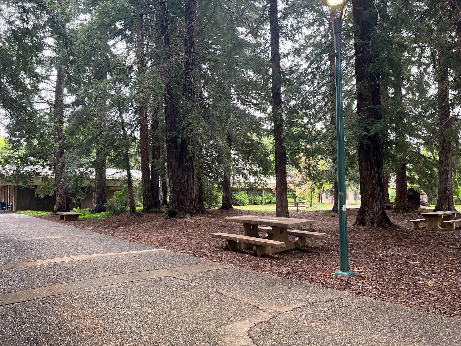 Shasta College