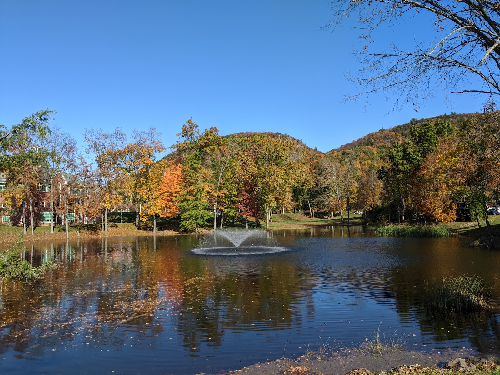 Quinnipiac University