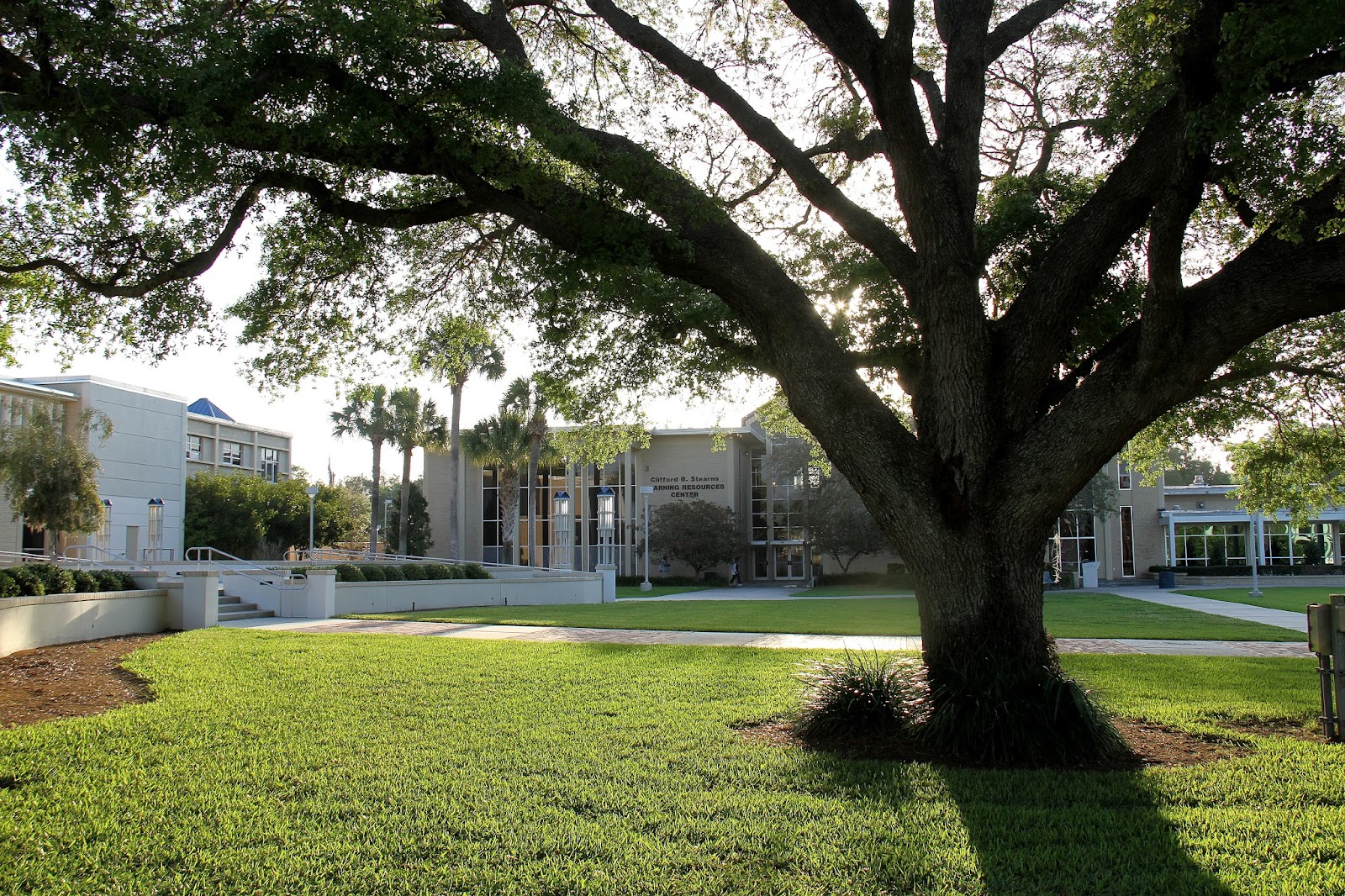 College of Central Florida
