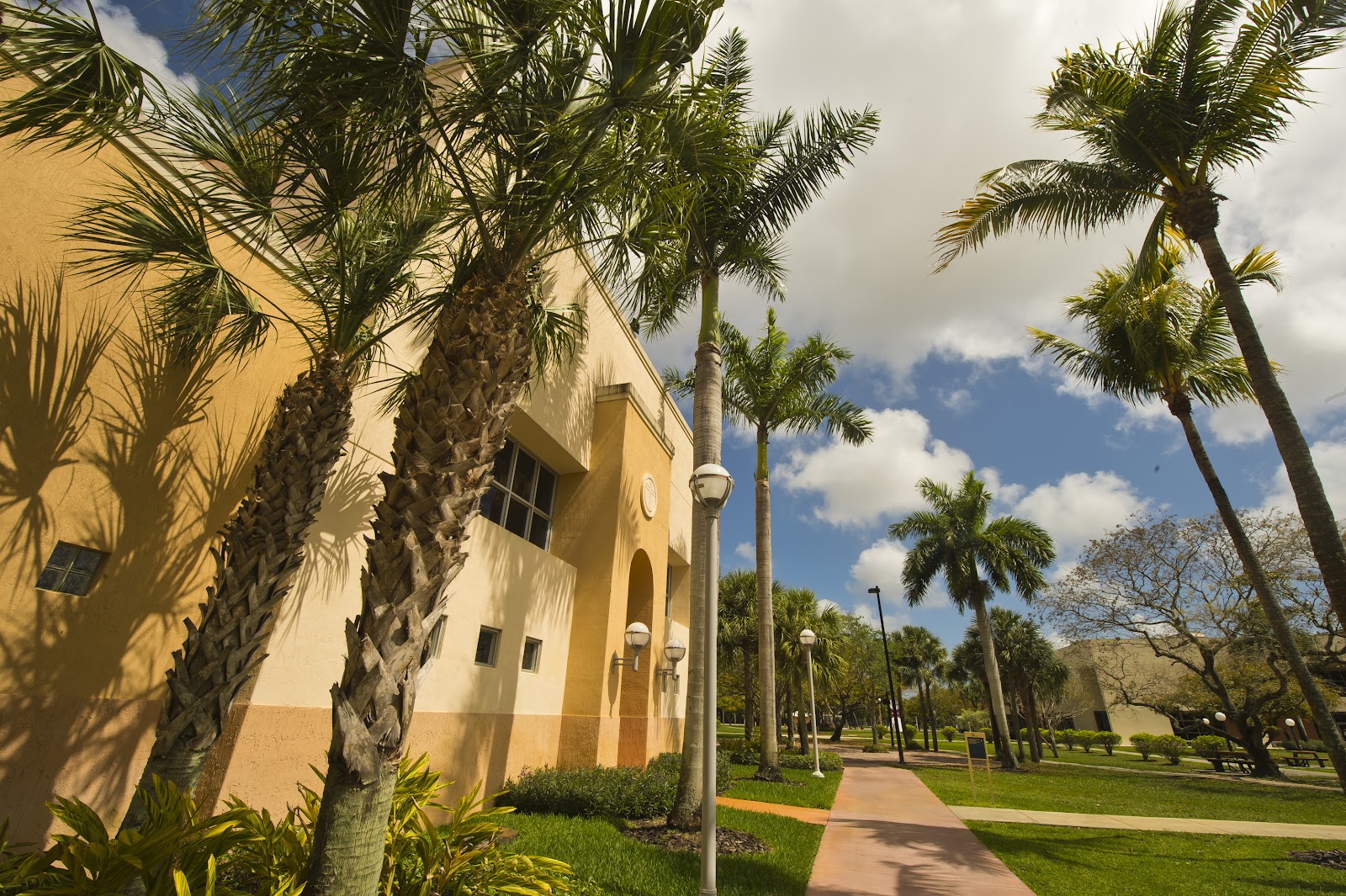 St. Thomas University