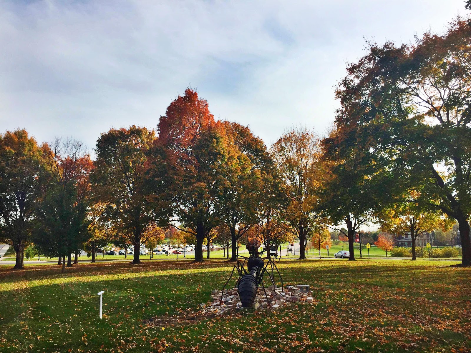 Southern Illinois University-Edwardsville