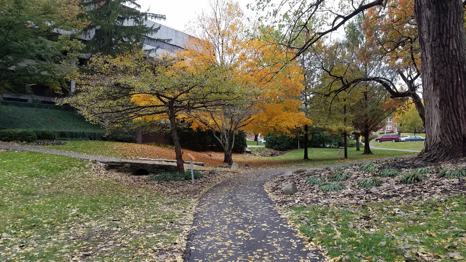 Anderson University