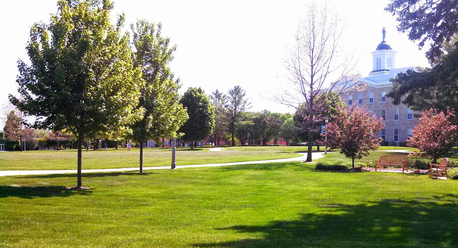 Upper Iowa University