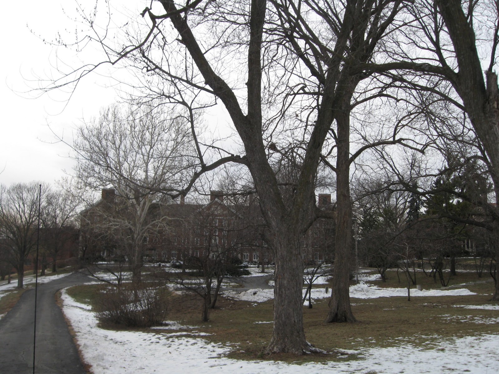 University of Saint Mary