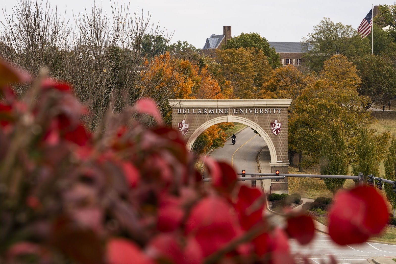 Bellarmine University