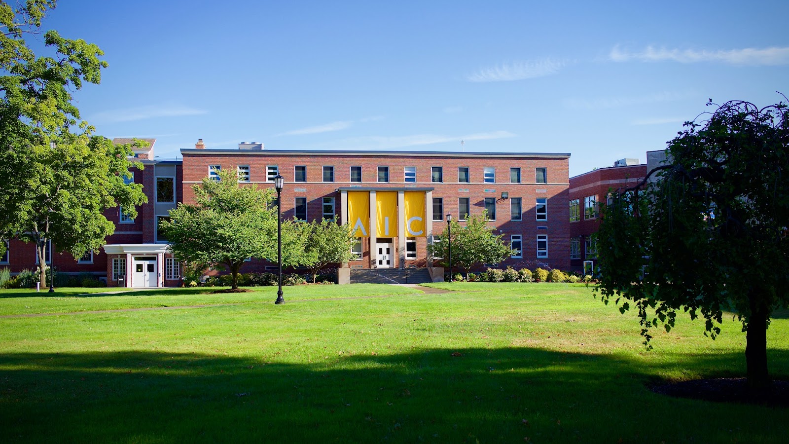 American International College