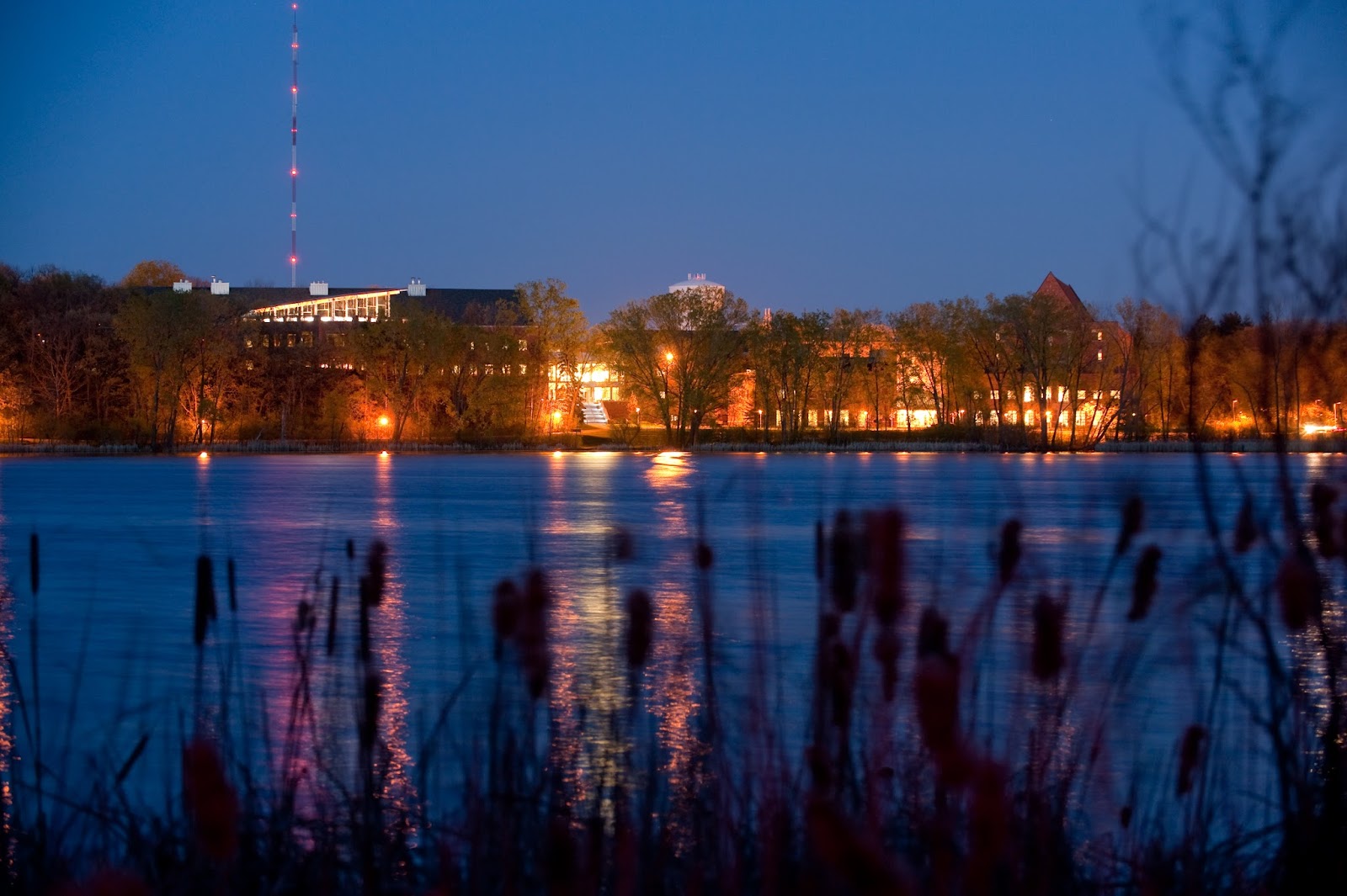 Bethel University