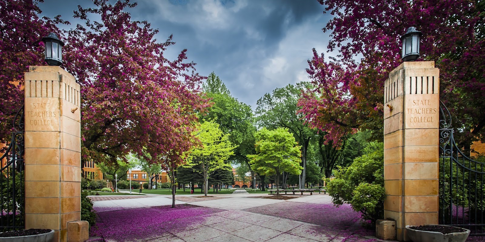 Minnesota State University Moorhead