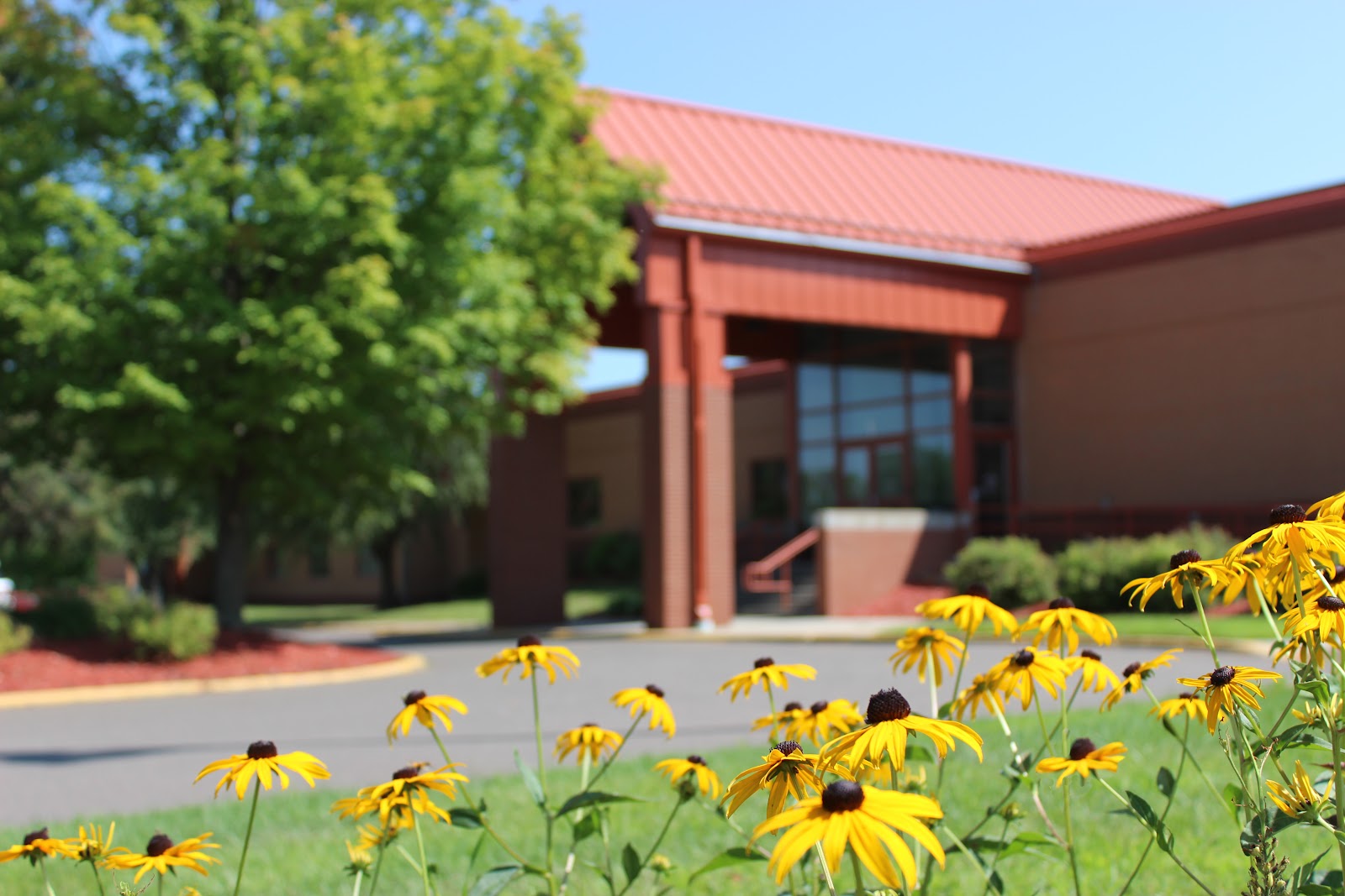 Pine Technical & Community College