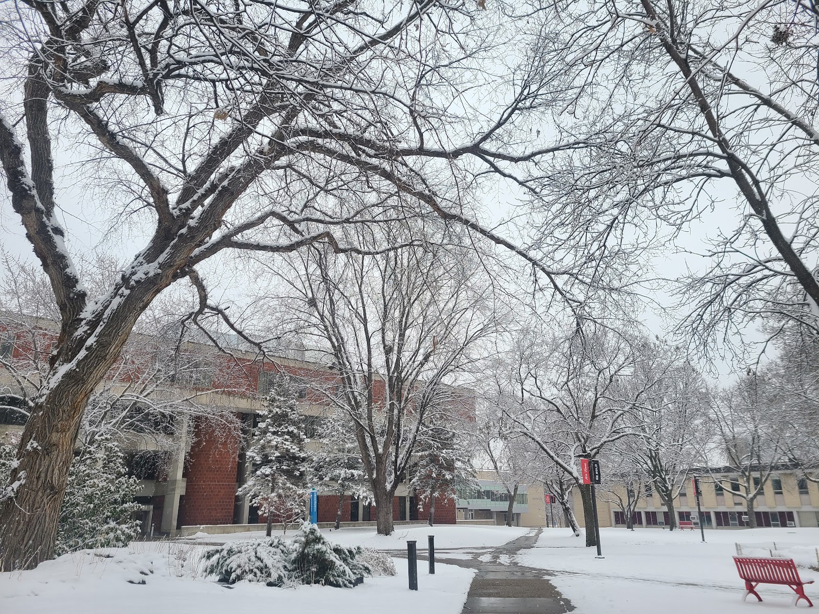 Saint Cloud State University